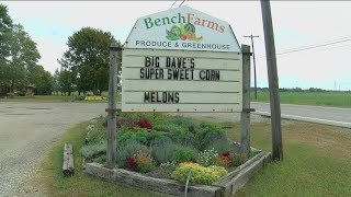 Bench Farms in Curtice suffering from lack of rain in northwest Ohio [upl. by Shannan]