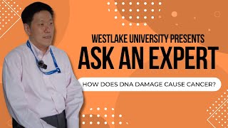 How Does DNA Damage Cause Cancer  Ask an Expert [upl. by Amluz696]