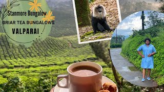 Valparai Resorts  Stanmore Tea Bungalow  Valparai tourist places  Lion Tailed Macaque [upl. by Katinka639]