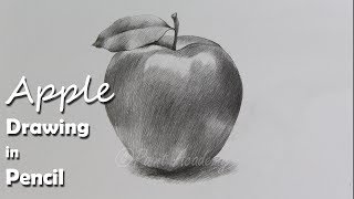 How to Draw An Apple in Pencil  step by step how to use pencil strokes  Artist  Supriyo [upl. by Alvord]