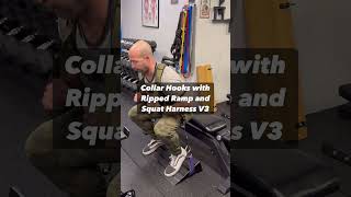 Using Collar Hooks with The Squat Harness V3 and Ripped Ramp [upl. by Esiled]