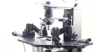 Installation of Sensapex micromanipulator [upl. by Aisel]