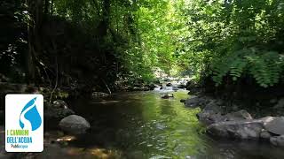 Cammino dellacqua lungo il torrente Bagnolo [upl. by Oxford704]