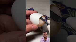 anda silane ka tajurba part 2 egg funny [upl. by Noelle193]