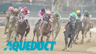 Aqueduct Simulcasting  November 16 2023 [upl. by Krueger538]