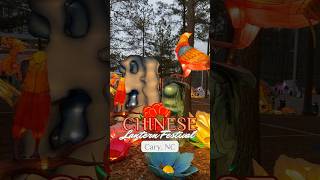 The Chinese Lantern Festival  Cary NC [upl. by Arabel]