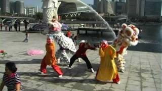 Modern lion dance at Merlion Park Singapore [upl. by Dolhenty]