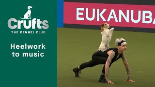 Heelwork To Music  Freestyle International Competition Part 1  Crufts 2023 [upl. by Ramhaj]