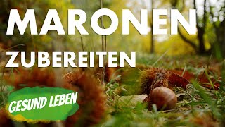 Maronen  Maronen zubereiten im Backofen  Kastanien Inhaltsstoffe gesunde Ernährung [upl. by Erastes]