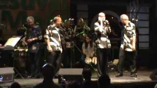 El Gran Combo2013 quotEl Carboneritoquot  Niña tocando Bongo [upl. by Ysdnil251]