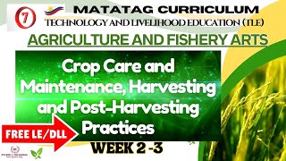 TLE Grade 7 Quarter 2  AFA Weeks 23 CROP CARE AND MAINTENANCE HARVESTING AND POST HARVESTING [upl. by Meggie]