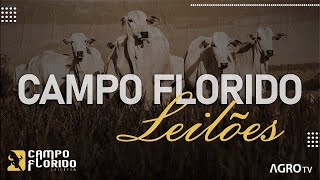 CAMPO FLORIDO LEILÕES AO VIVO  CAMPO FLORIDO MG [upl. by Bigner]