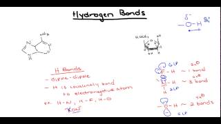 Hydrogen Bonding AP Biology [upl. by Imyaj791]