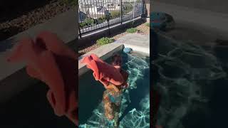 Dissolving Swimsuit Prank On My Girlfriend😱 [upl. by Anil857]