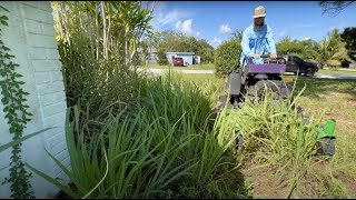 She was WAY TO BUSY to mow her yard so its became a NUISANCE [upl. by Kipton]