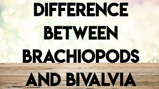 Geology palaeontologyecture series difference between brachiopods and bivalvia [upl. by Musser440]