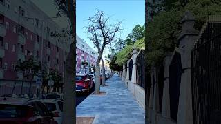 ☀️🌴🏙️ Morning  Mañana Torrevieja streets walk  Paseo por las calles de Torrevieja 🇪🇸 [upl. by Ehctav]