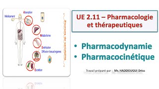 Annales français  Pharmacodynamie Pharmacocinétique S1  UE 211 – Pharmacologie et thérapeutiques [upl. by Whitcomb]