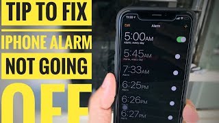 iPhone Alarm Not Working iOS 16 Fixed 2023 iPhone 13 Pro Max amp Earlier [upl. by Temple]