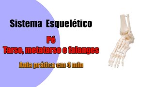 Ossos do Pé  Vídeo Completo  Anatomia Humana  Anatomia [upl. by Adler546]