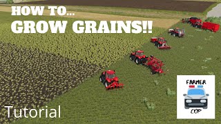 How To Grow Wheat Barley Oats Canola and Soybeans in Farming Simulator 19 [upl. by Narruc]