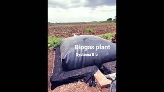 Biogas Plant by Govind Milk amp Systema Bio biogasplant agriculturetechnology farmerlife [upl. by Garvy538]