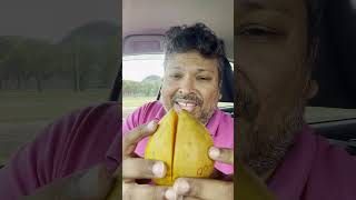 Have you ever had the Canistel fruit before fruits trinbagovibes farmermarket trinidadntobago [upl. by Adaline]