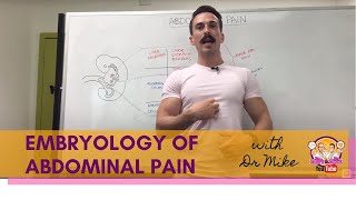 Abdominal Pain  Embryology [upl. by Jenni]