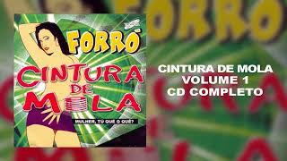 Forró Cintura de Mola CD Vol 01 COMPLETO [upl. by Ellecram]