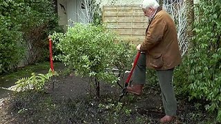 COMMENT BIEN ARRACHER EN MOTTE UN ARBUSTE Pittosporum POUR LE TRANSPLANTER [upl. by Vachil]