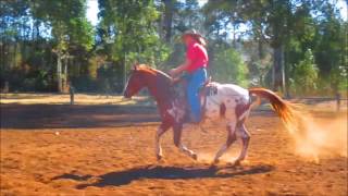 Heartfelt Horsemanship [upl. by Gerta]