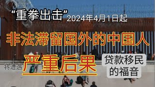 2024年 非法滞留国外的中国人将遭遇严重后果 走线 偷渡 注销护照 列入黑名单 贷款移民 网贷信用卡掏空可否移民 欠债还钱移民后会被追查？ [upl. by Hartwell]