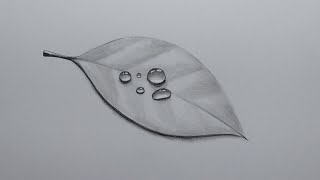 Pencil Drawing And Shading Realistic Water Drops On A Leaf [upl. by Assirec929]