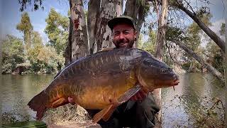 Carpfishing Guadiana la revancha [upl. by Dwyer]