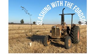 Slashing The Tree Lot With The Fordson [upl. by Etheline]