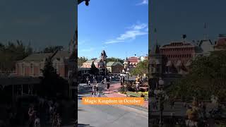 Main Street USA [upl. by Shalne]