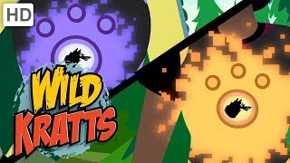 Wild Kratts 💥 Activate All Season 5 Creature Powers  Kids Videos [upl. by Jamel47]