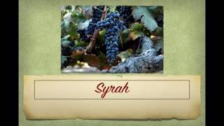 Winecast Syrah [upl. by Kenwee]