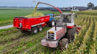 Mais oogst 2024 met STEYR 8300 bij Melkveeb Mts Overgaauw Vergeer 4K [upl. by Elokin]