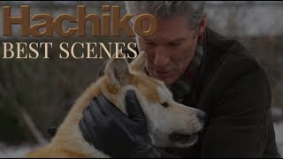 HACHIKO Try not to cry [upl. by Aurelius282]