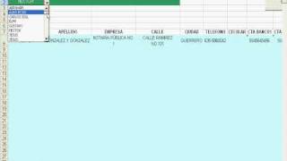 directorio de contactos en excel [upl. by Annaoy]