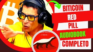 Bitcoin Red Pill audiolivro  Livro de Renato Três8tão Completo [upl. by Simaj]