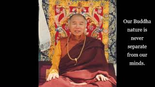 Tulku Urgyen Rinpoche  NonDuality  Dzogchen [upl. by Alfred570]