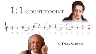 How to Compose 11 Counterpoint  Tonal Voice Leading 1 [upl. by Adnalor736]