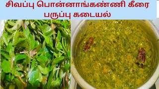 சிவப்பு பொன்னாங்கண்ணி கீரை பருப்பு கடையல்  Sigappu Ponnankanni Keerai Paruppu Kadayal RecipeinTamil [upl. by Nosylla]