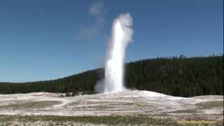 Old Faithful amp Beehive Geysers  Yellowstone National Park [upl. by Niabi]