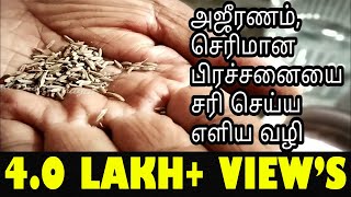 Ajeeranam  Serimana Prachanai  Digestion Problem Home Remedies in Tamil  Tamil Bro Samayal [upl. by Penelopa271]