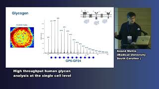 Prof Anand Mehta  High throughput human glycan analysis at the single cell level [upl. by Tod]