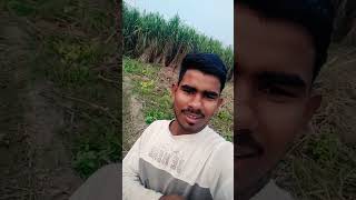 Mobile Ko Chhod Kar Nhi Rah Payege viralvideo trending video [upl. by Ainevuol]