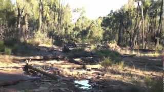 NSW ROAD TRIP Coonabarabran Warrumbungle National Park Bingara [upl. by Brindell]